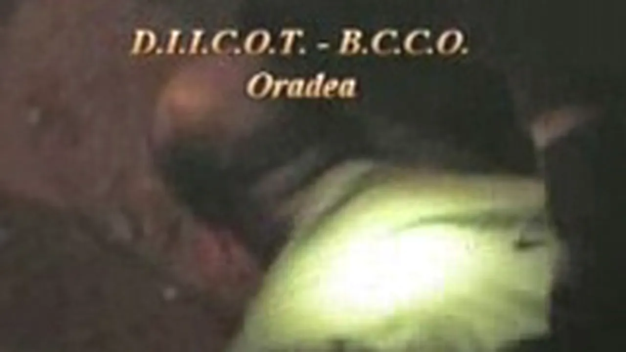 Doi traficanţi de droguri, arestaţi după ce au fost prinşi vânzând 2200 pastile de ecstasy