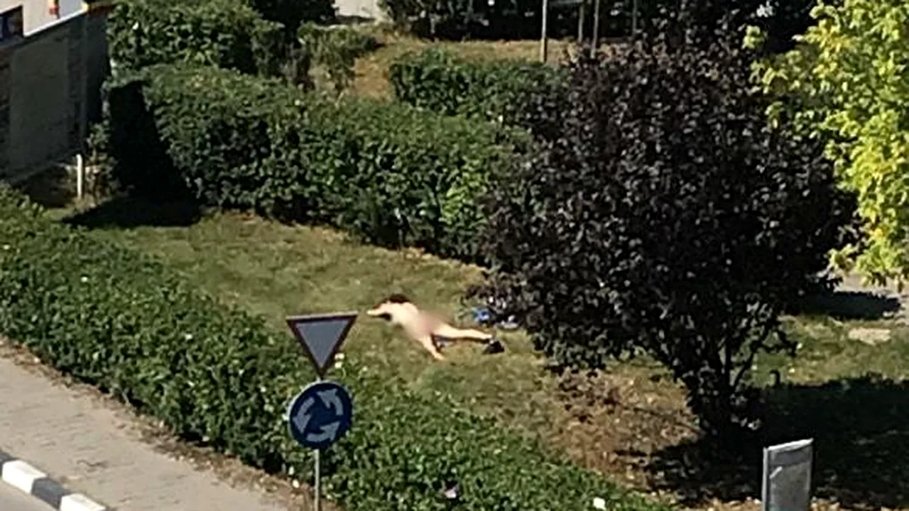 O tânără a fost prinsă făcând plajă, dezbrăcată, în faţa unei instituţii importante. Ce răspuns a dat jandarmilor