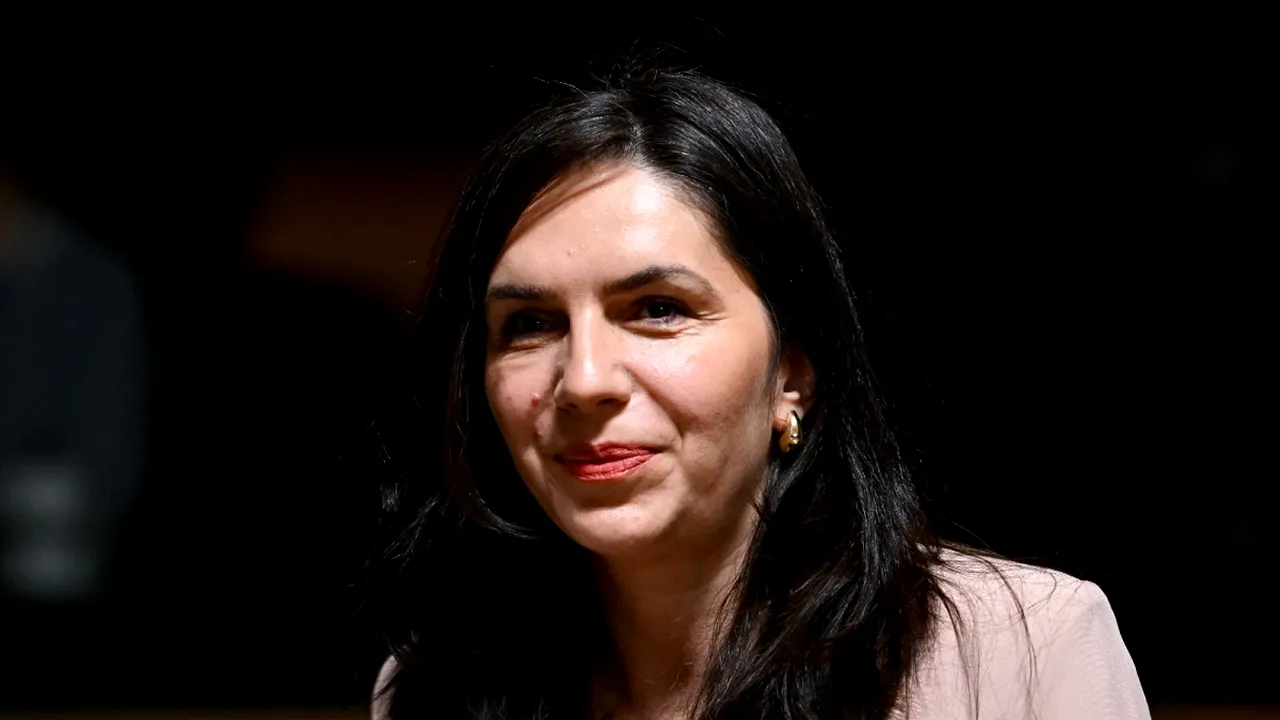 Clara Staicu: România susţine extinderea UE şi protejarea proceselor electorale