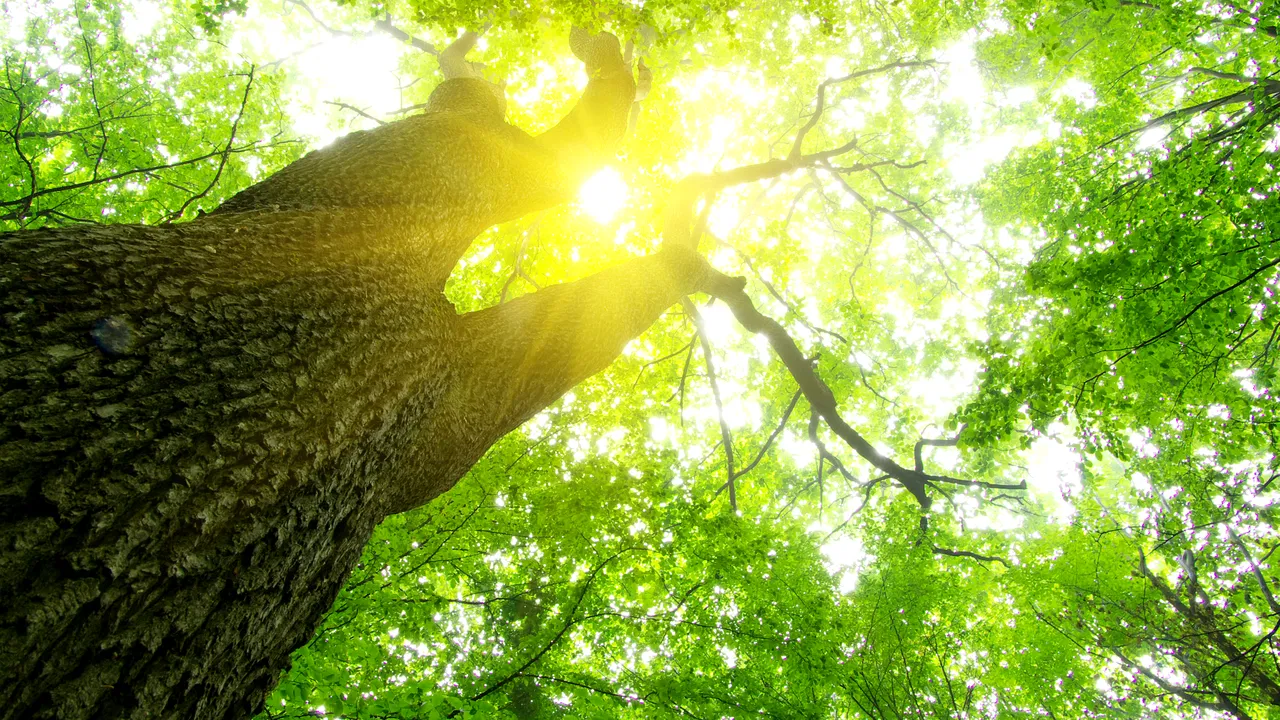 Vremea va fi predominant frumoasă. PROGNOZA METEO pentru joi şi vineri