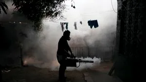 Virusul Zika se propagă într-un ritm exploziv, avertizează OMS