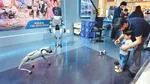 Noua afacere care explodează în China: roboții umanoizi pot fi închiriați cu ziua