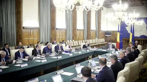 Greşeala gramaticală din cererile de retragere a demisiilor miniştrilor, semnalată de purtătorul de cuvânt al Guvernului | FOTO demisie Sevil Shhaideh