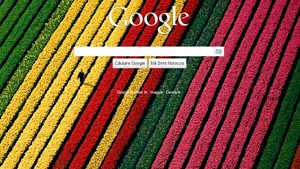 Google permite utilizatorilor să îşi personalizeze fundalul paginii de start printr-o nouă aplicaţie