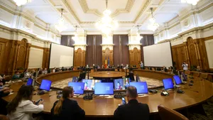 Prima ședință a Comisiei parlamentare „România fără violență domestică”. Ce măsuri au fost stabilite