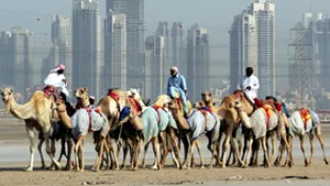 Dubai: Prinţul moştenitor a plătit 2,7 milioane de dolari pentru o cămilă