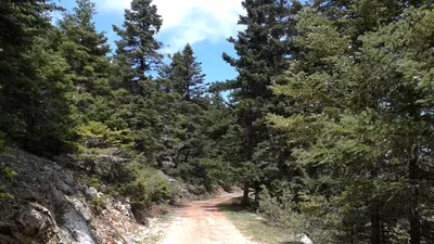 LIFE Aventura unor turiști români în drum spre vacanța din Grecia: Ne-am trezit „în” nicăieri, am crezut că murim
