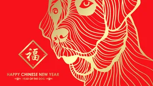 Anul Nou chinezesc 2018 | Anul Câinelui de Pământ în care sunt favorizate schimbările majore începe la 16 februarie