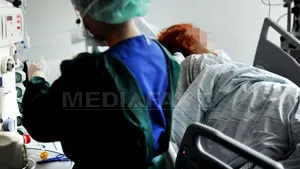 Bacteria E.coli care a provocat 18 decese în Europa pare rezistentă la antibiotice