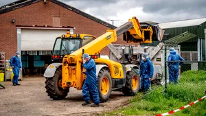 Peste 90.000 de vizoni vor fi sacrificaţi în Spania după ce au luat Covid-19