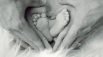 Oamenii și animalele se confruntă cu o criză ascunsă a fertilității, avertizează oamenii de știință