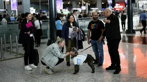 Aeroportul din Istanbul, modalitate inedită de a-i ajuta pe călătorii anxioşi: câini de terapie
