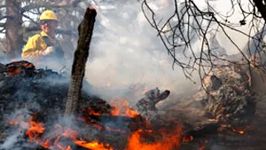 Unul dintre incendiile din California, provocat de un copil