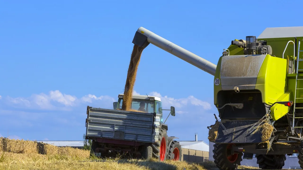 Agricultorii pierd 60% din producţia de cereale din cauza secetei: Fiecare zi în care nu avem apă măreşte procentul de calamitate