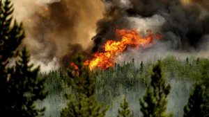 Criza climatică cauzată de fenomenele meteorologice extreme a costat lumea 16 milioane de dolari pe oră în ultimii 20 de ani