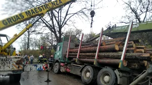FOTO | Femeia strivită de camionul plin cu lemne răsturnat în Dâmboviţa a murit