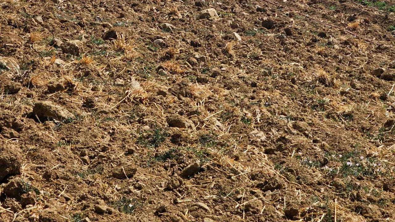 Pompierii români aflaţi în Grecia acţionează pentru stingerea unui incendiu de vegetaţie uscată