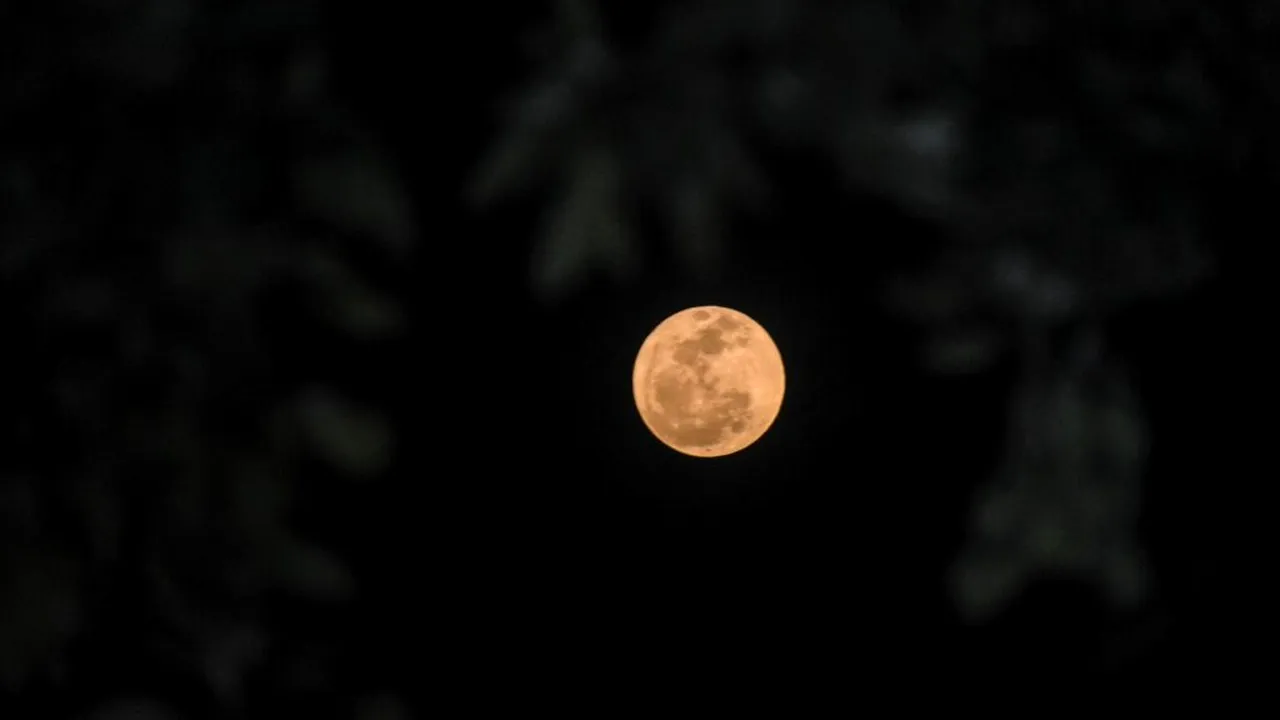 Buck Moon sau Luna Cerbului: Cum să observi Luna plină cea mai îndepărtată de Soare din acest an