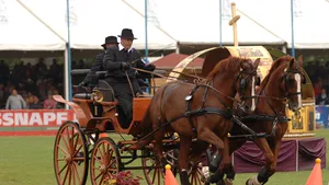 REPORTAJ: Manifestările ecvestre sunt un brand al secuilor, spune un multiplu campion la întreceri de atelaje - FOTO