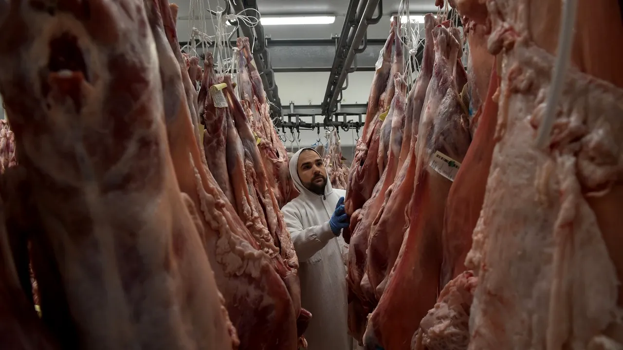 Cifră şocantă! Ministerul de Externe a anunţat că 1.000 de români care lucrează la abatorul Tonnies, din Germania, sunt infectaţi cu COVID