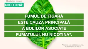 Nicotina: înţelegerea rolului şi a impactului ei în legătură cu fumatul