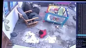 VIDEO | Momentul în care o pisică cu chef de joacă salvează viaţa unui bebeluş