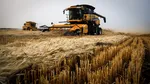 România poate exporta produse alimentare de origine vegetală proaspătă în Indonezia