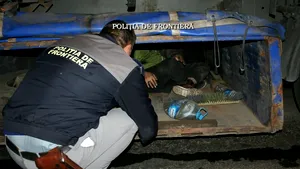 Doi sirieni ascunşi în lada de unelte a unui camion, depistaţi la PTF Calafat - VIDEO