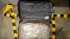 Captură mare de canabis în Botoșani: 31 de kilograme de droguri duse în trei trolere