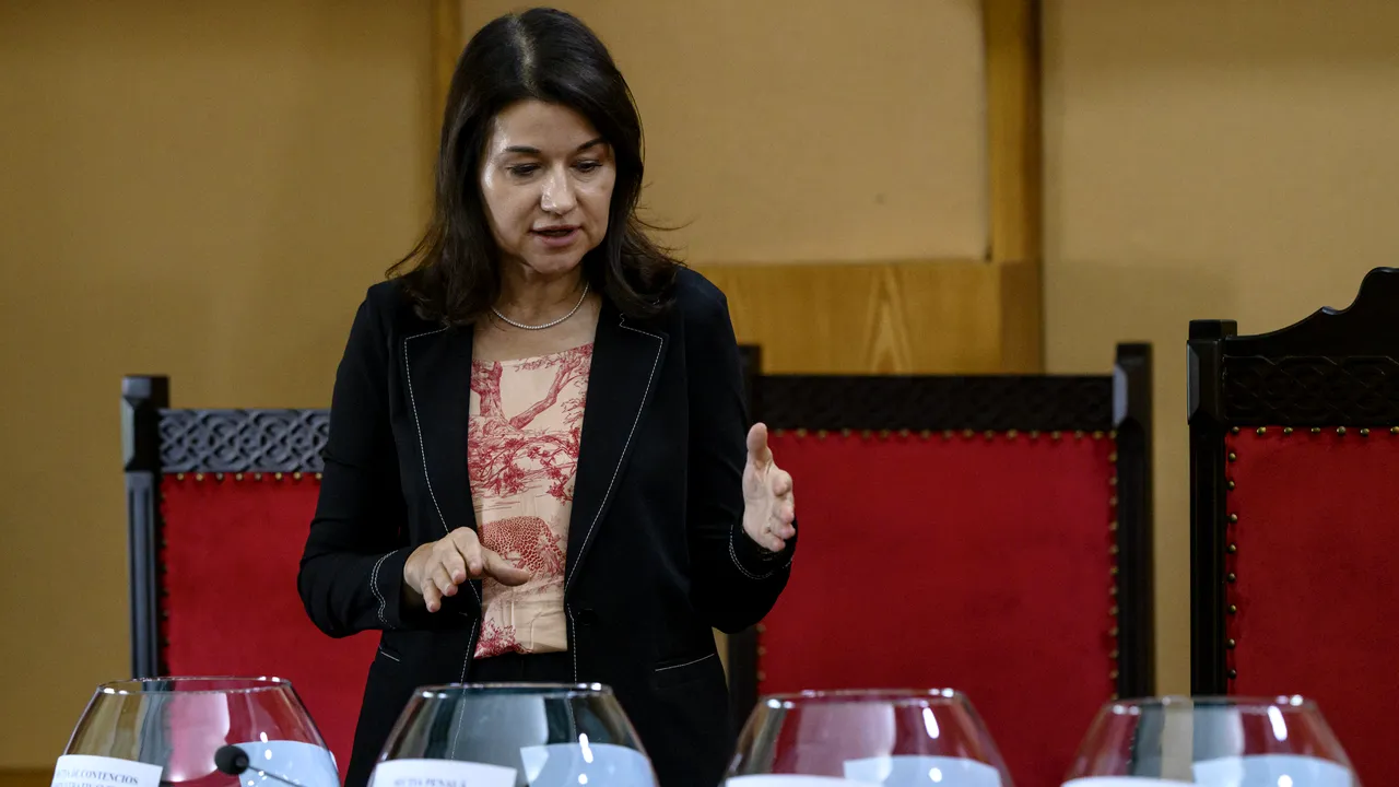 Înalta Curte de Casaţie şi Justiţie a desemnat judecătorii pentru BEC în alegerile parlamentare 2024