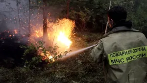 Incendiile de turbă din Rusia, cauzate de erori umane comise cu zeci de ani în urmă