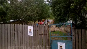 Candidaţi străini la ALEGERILE LOCALE: Un italian vrea să schimbe Ciucurova, iar un german să aducă investiţii în Timiş - FOTO