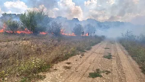Incendiu în zona Pădurii Băneasa: ard circa 30 de hectare de vegetaţie