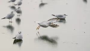 Minus 20 de grade și încă patru zile de ger continuu în România