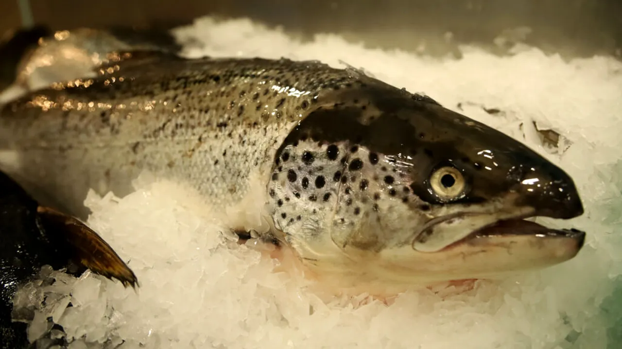 Romania produces less and less fish