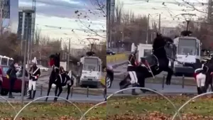 VIDEO Jandarmeria implicată într-un nou incident. Un jandarm a cazut de pe cal la paradă
