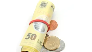 Half Of Romanian Mandatory Private Pension Fund Contributors Amassed RON500 Since ‘08