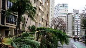 Bilanţul victimelor din Puerto Rico în urma uraganului Maria a ajuns la 34 de morţi / Donald Trump a vizitat zonele afectate de pe insulă