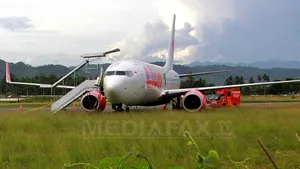 Un avion a ieşit de pe pistă, după ce a lovit o vacă 