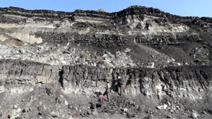 Arheologii descoperă cele mai vechi unelte din lemn atestate vreodată. Ce vârsta au și de unde provin acestea?