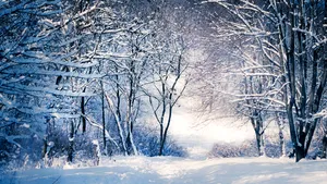 INFORMARE METEO de vânt puternic şi ninsori. Zonele vizate de avertizarea meteorologilor