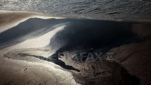 Mareea neagră este probabil cea mai mare catastrofă ecologică din SUA