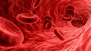 Vasele de sânge imprimate 3D ar putea transforma tratamentul bolilor cardiovasculare