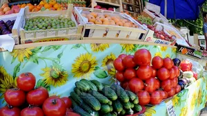 Autorităţile germane sfătuiesc cetăţenii să nu consume seminţe germinate, roşii, salate şi castraveţi