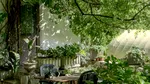 Planta care, potrivit superstițiilor, aduce ghinion și nenorociri dacă o plantezi în grădină