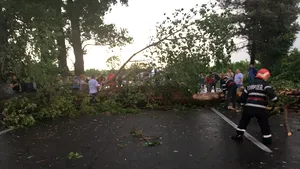 Cod GALBEN de vânt şi ploi: Aproape 1.500 de familii, fără energie electrică în urma unor avarii în judeţul Mureş