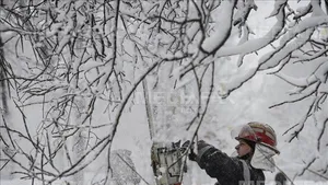Copaci şi stâlpi doborâţi de viscol, maşini blocate în zăpadă, pacienţi duşi la spital cu autoşenilate