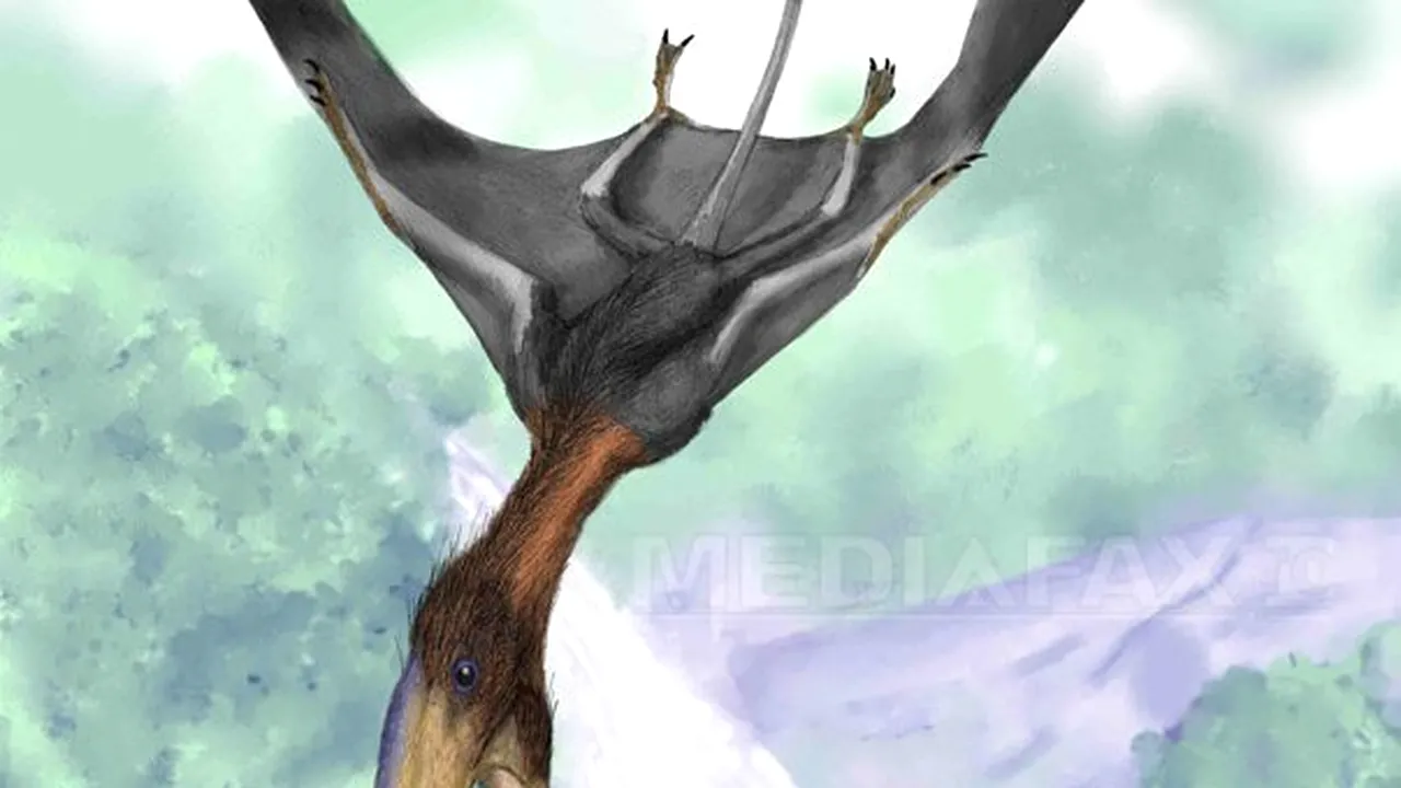 Vezi aici care era diferenţa între un pterozaur şi o... 