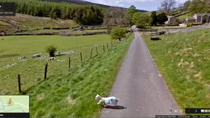 De la Google Street View la Sheep View: Locuitorii insulelor Feroe au montat camere 360 pe oile lor - VIDEO