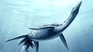 Plesiozaurii erau vivipari! Fosila unei reptile marine gestante a fost expusă la Los Angeles